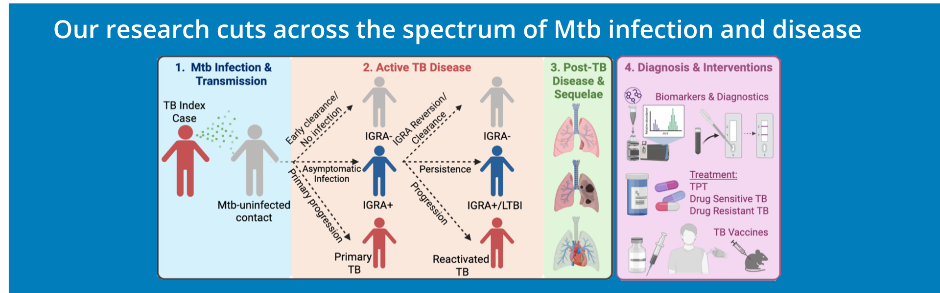 Spectrum of TB Research