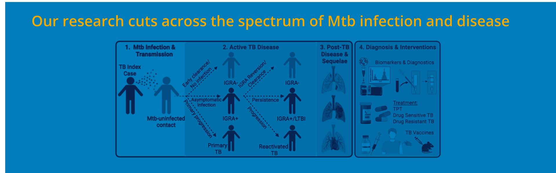Spectrum of TB Research